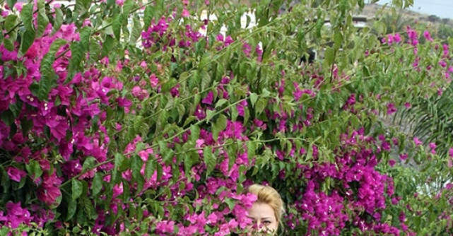 Interviu multicultural cu Ioana Budeanu 