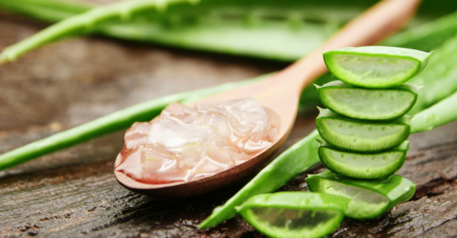 Aloe vera: Beneficii pentru sănătate