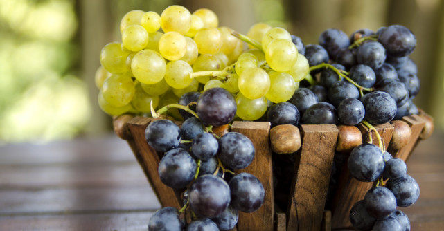 Câte calorii au strugurii și ce beneficii aduc sănătății noastre?