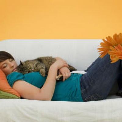 Pisica - o cauza pentru care nu poti avea copii