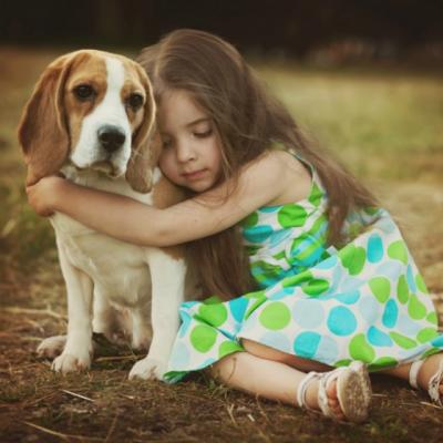 Scrisoare pentru toti cei care au suferit in aceasta viata