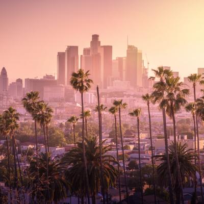 Patru lucuri de care ai nevoie pentru a avea succes în California
