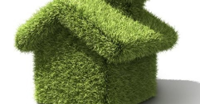 8 Utilizari pentru uleiul de jojoba