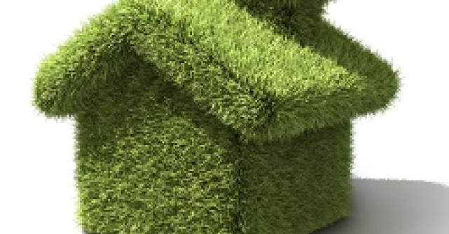 8 Utilizari pentru uleiul de jojoba