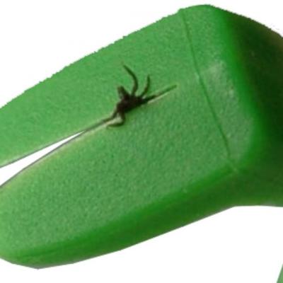 (P) Avem o capusa. Ce facem cu ea?