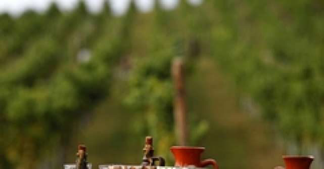 amb Wine anunta lansarea oficiala a brandului de vinuri premium Liliac  Transylvania