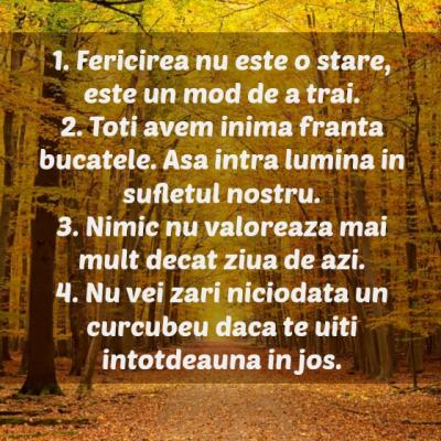 Picaturi de Zen pentru luna noiembrie