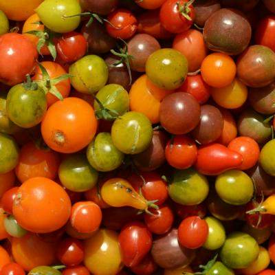 Beneficiile incredibile ale rosiilor cherry