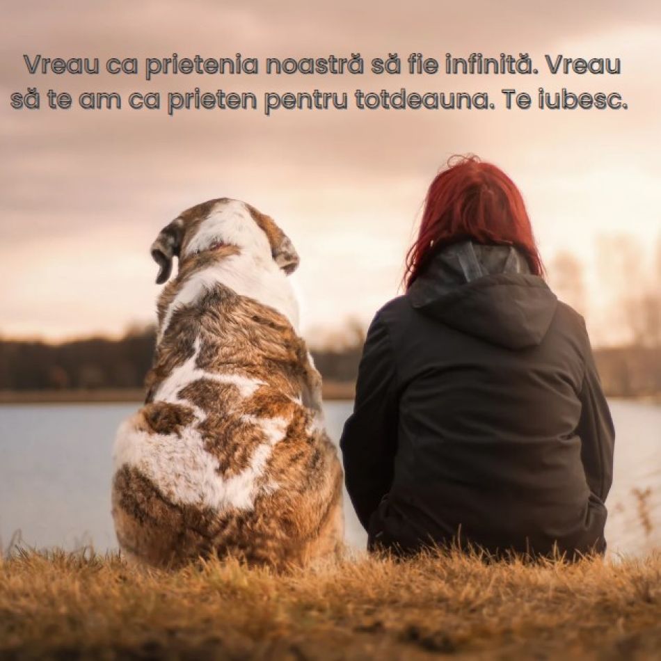 Mesaje unice pentru prietenii de suflet. Trimite-le oamenilor dragi ție o declarație de apreciere și recunoștință 