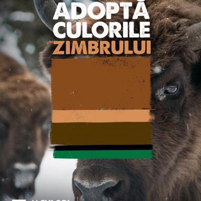Adoptă culorile zimbrului