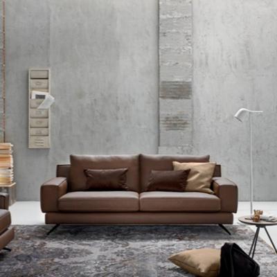 15 modele de canapele din piele