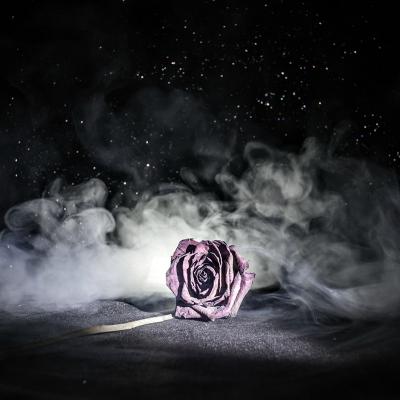 Relatiile nu esueaza, relatiile ne transforma