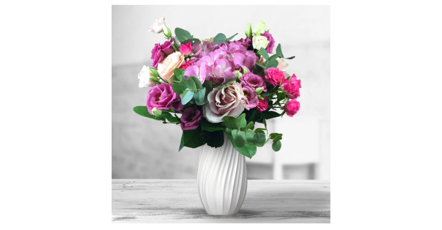 Floria.ro lansează Jungla Urbană, o colecție care te poartă în toate colțurile lumii