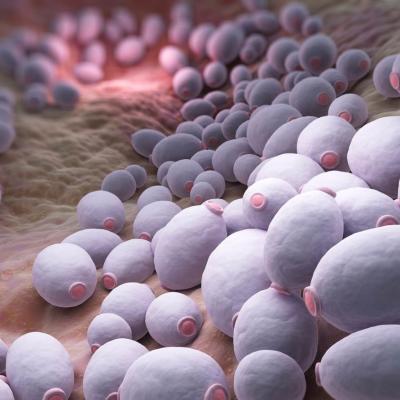 Tratare candida - ce este și cum să o preveniți cat mai eficient !