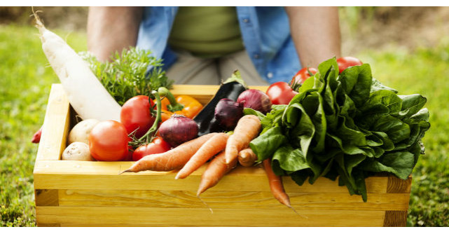 Legumele care ajuta in lupta impotriva cancerului