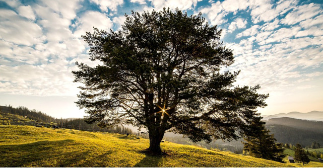 Valea Somuzului sau cum am descoperit o alta comoara a Sucevei