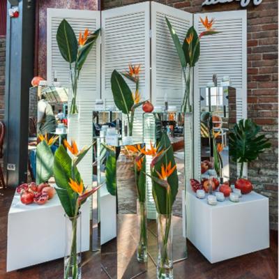 AVON lanseaza Nutra Effects, o noua gama de ingrijire a tenului