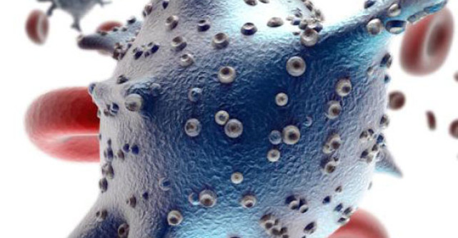 Intareste-ti sistemul imunitar