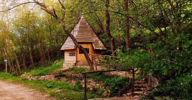 Jos stresul! Sus mofeta!