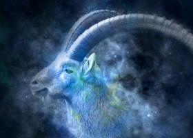 Barbatul Capricorn descifrat cu bune si cu rele