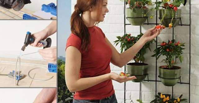 Practic: cum sa decorezi un perete de balcon cu fructe si legume
