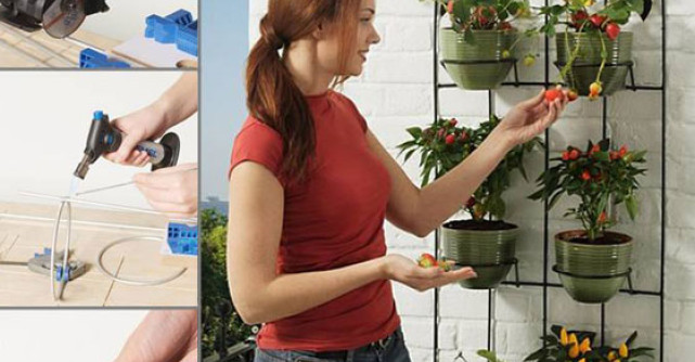 Practic: cum sa decorezi un perete de balcon cu fructe si legume