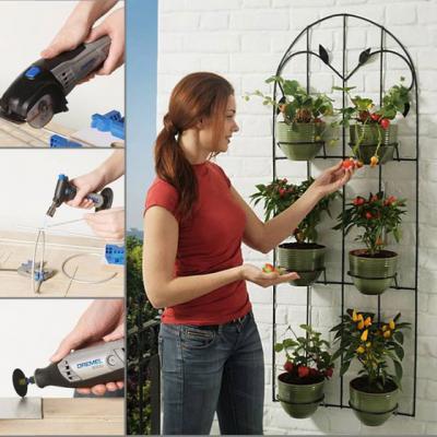 Practic: cum sa decorezi un perete de balcon cu fructe si legume