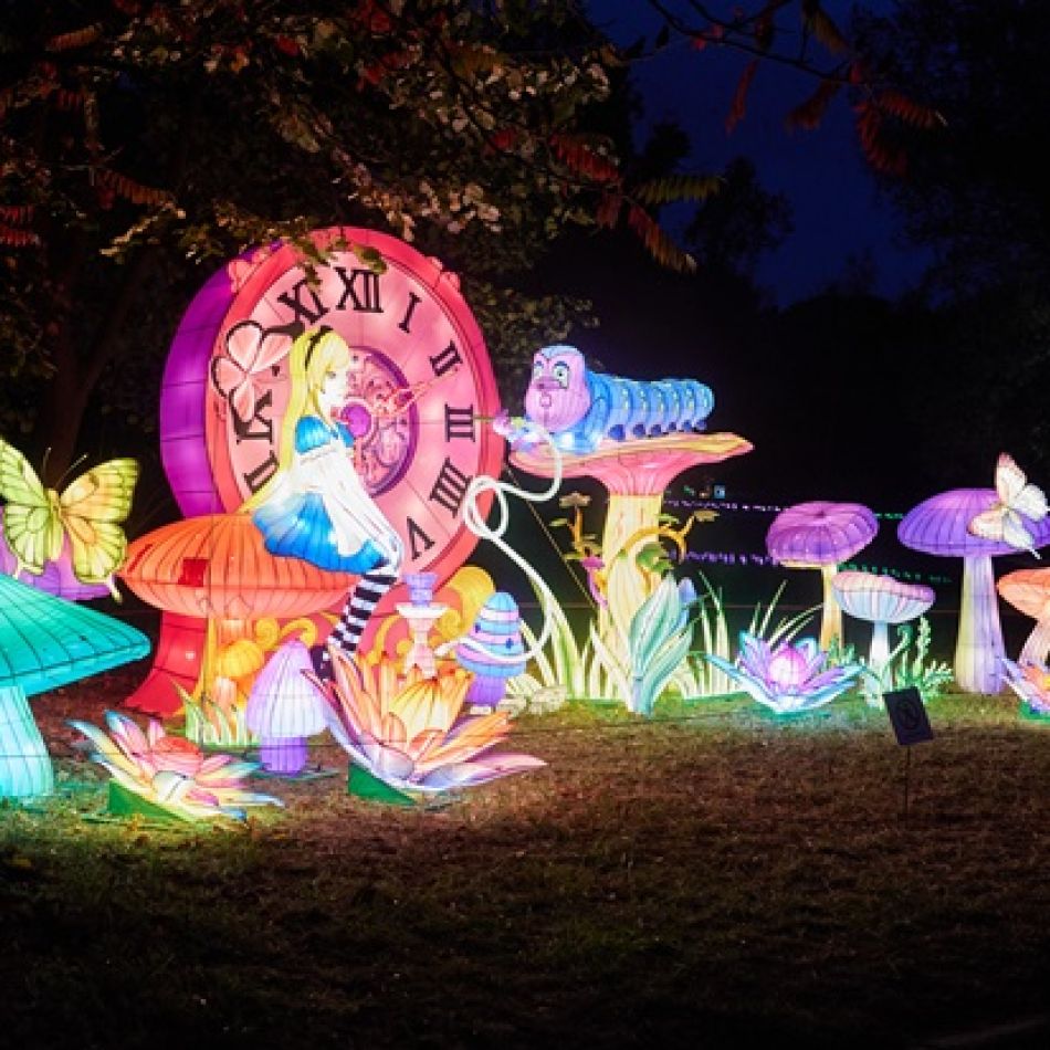 Număr impresionant de vizitatori la expoziția Grădina Luminilor organizată în Grădina Botanică Dimitrie Brandza București