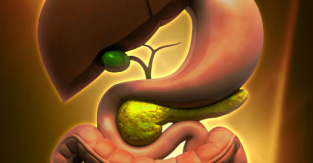 Tratamente naturiste pentru VEZICA BILIARA