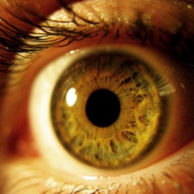 Ochiul bionic poate reda orbilor vederea