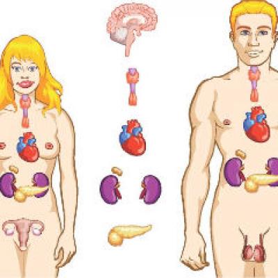 Hipotiroidia  afectiunea care ne ingrasa?