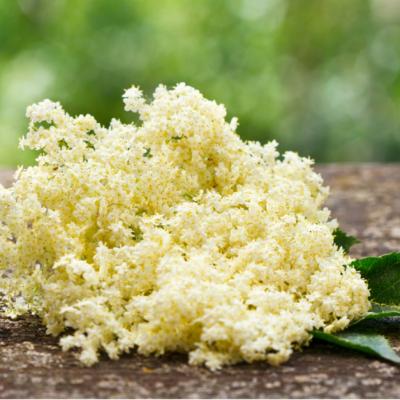 Florile de soc: Beneficii nestiute pentru sanatate