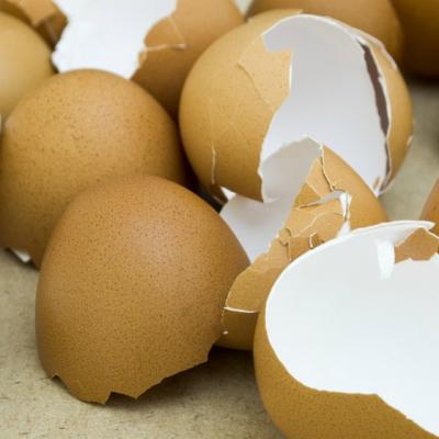 Leacul din coji de oua care vindeca ulcerul, gastrita si tiroida