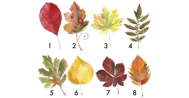 Alege o frunză și află ce îți rezervă finalul de an 2018
