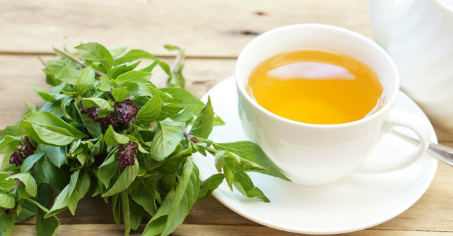 Care sunt indicațiile terapeutice are ceaiului de busuioc