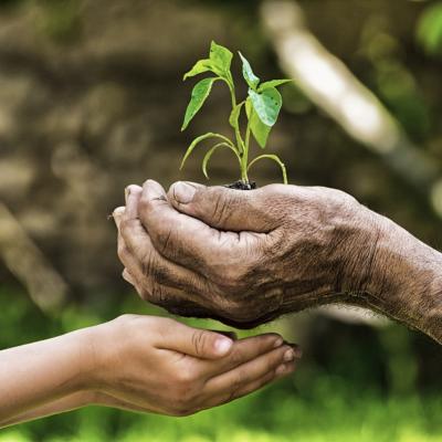 PLANTĂM SEMINȚELE SCHIMBĂRII