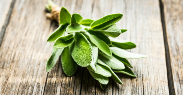 Beneficiile uimitoare ale salviei