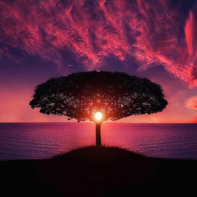 Credea Einstein în Dumnezeu? Care a fost marea întrebare la care fizicianul a căutat răspuns toată viața