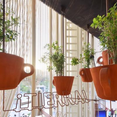 Lavazza încheie un parteneriat cu pavilionul Italiei din cadrul expo Dubai 2020: Grădina Solară de Cafea 