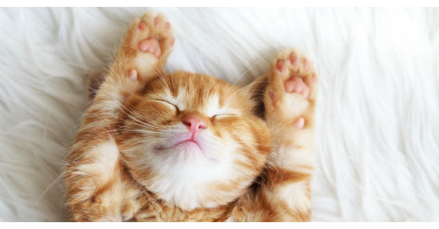 Cum sa dormi mai bine: ghid pentru cresterea calitatii somnului