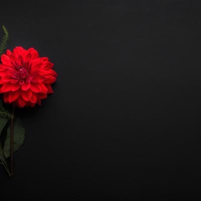 15 ani fără Mădălina Manole. Răni care nu se închid și o întrebare care rămâne: De ce?