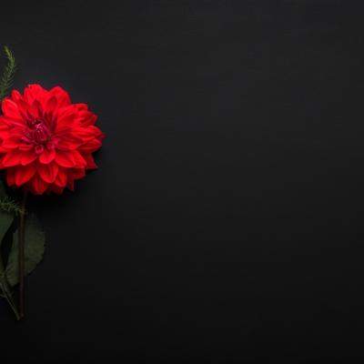 15 ani fără Mădălina Manole. Răni care nu se închid și o întrebare care rămâne: De ce?