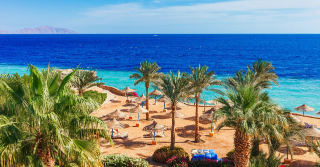 Cum ar fi să pleci gratis în vacanță?