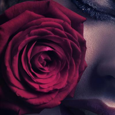 20 de imagini cu trandafiri