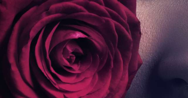 20 de imagini cu trandafiri