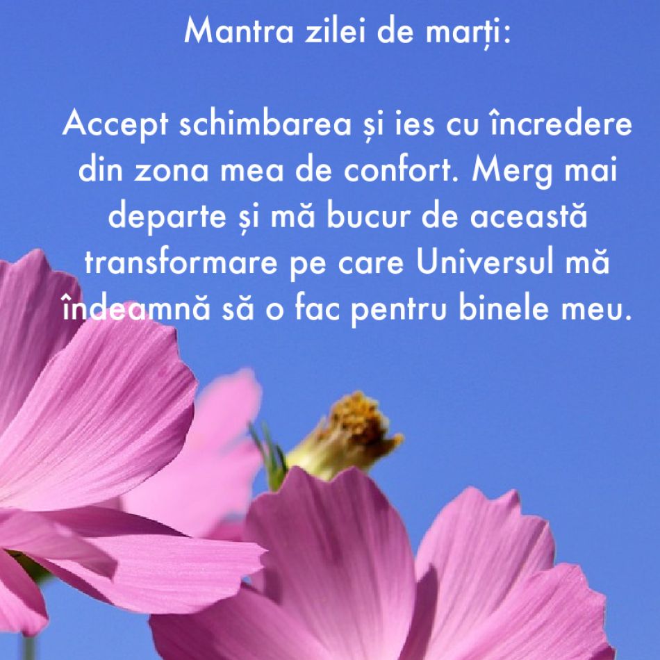 7 Mantre puternice pentru fiecare zi a săptămânii (19-25 iunie)