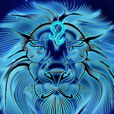 Barbatul Leu descifrat cu bune si cu rele