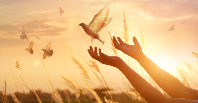 Citate despre iertare: Numai cei curajoși știu să ierte