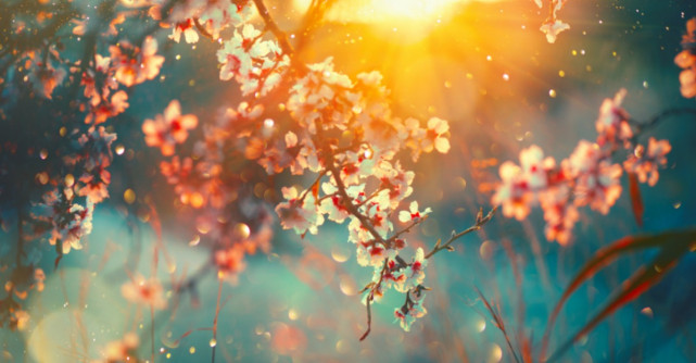 Reverie de primăvară cu Nichita Stănescu