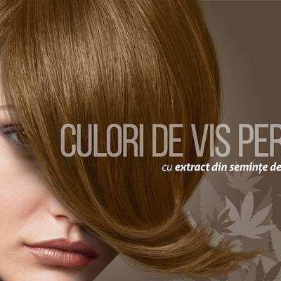 LONCOLOR lansează gama de vopsea permanentă LONCOLOR EXPERT HEMPStyle și serviciul de livrare la domiciliu